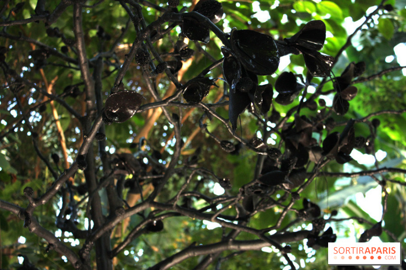Noces Végétales au Jardin des Plantes : le marié