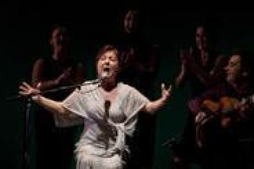 Carmen Linarès - Oasis Abierto