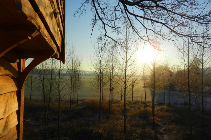 Les cabanes dans les arbles du Moulin