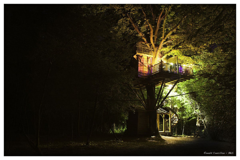 Les cabanes dans les arbles du Moulin