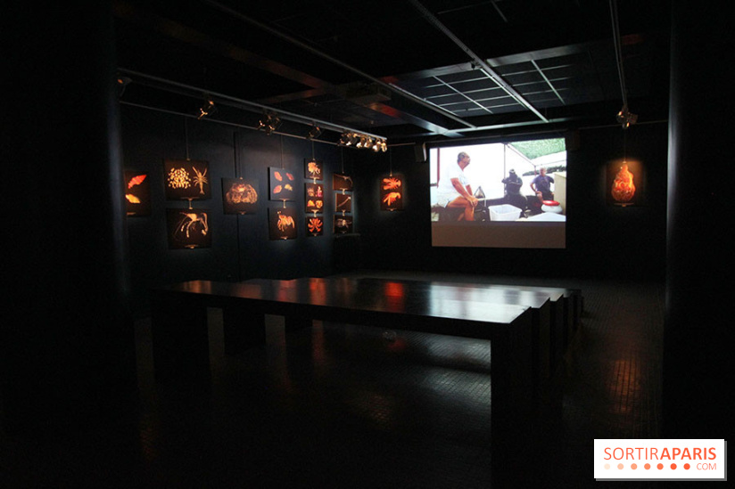Exposition coquillages et crustacés à l'aquarium de la Porte Dorée