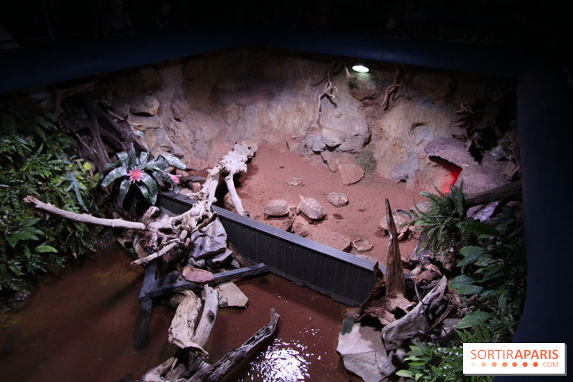 Aquarium de la Porte Dorée à Paris