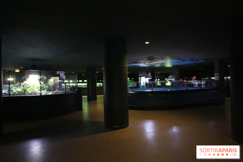 Aquarium de la Porte Dorée à Paris