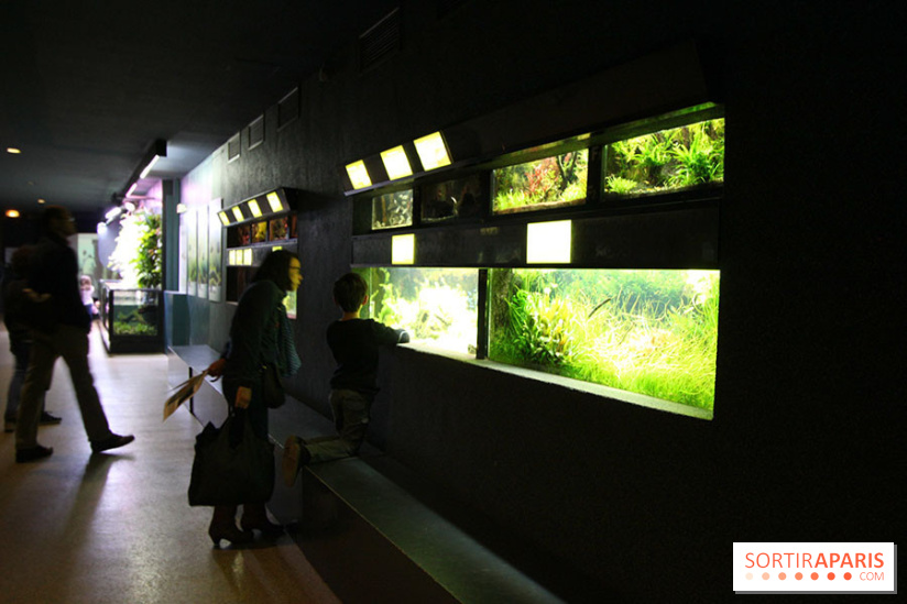 Aquarium de la Porte Dorée à Paris