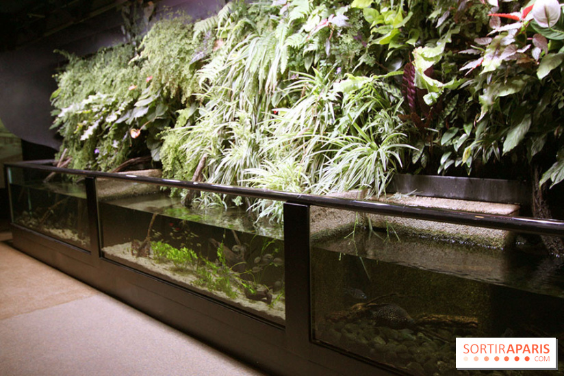 Aquarium de la Porte Dorée à Paris