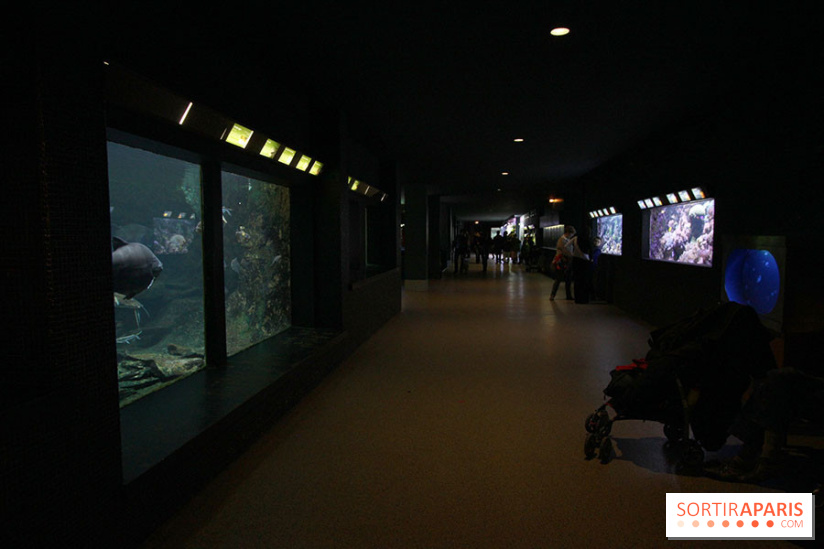 Aquarium de la Porte Dorée à Paris