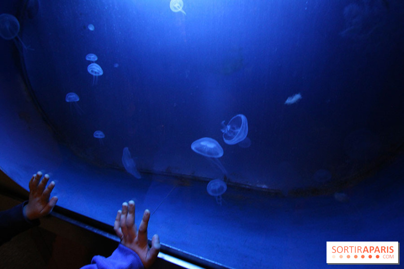 Aquarium de la Porte Dorée à Paris