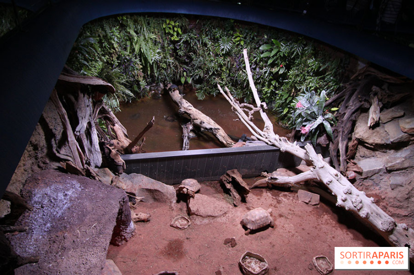 Aquarium de la Porte Dorée à Paris