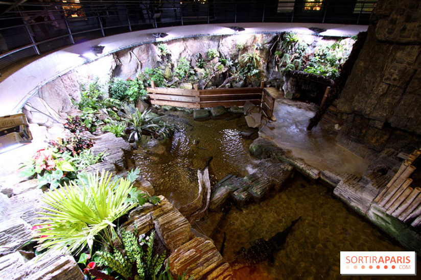Aquarium de la Porte Dorée à Paris