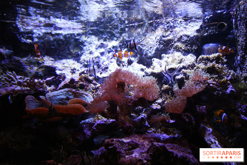 Aquarium de la Porte Dorée à Paris