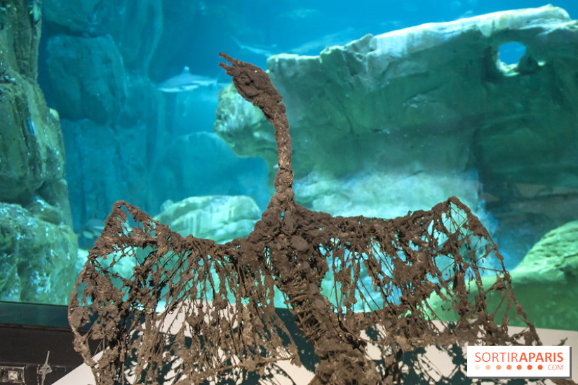 Aquarium de Paris : La Fabrique des profondeurs, l'exposition de Lionel Sabatté