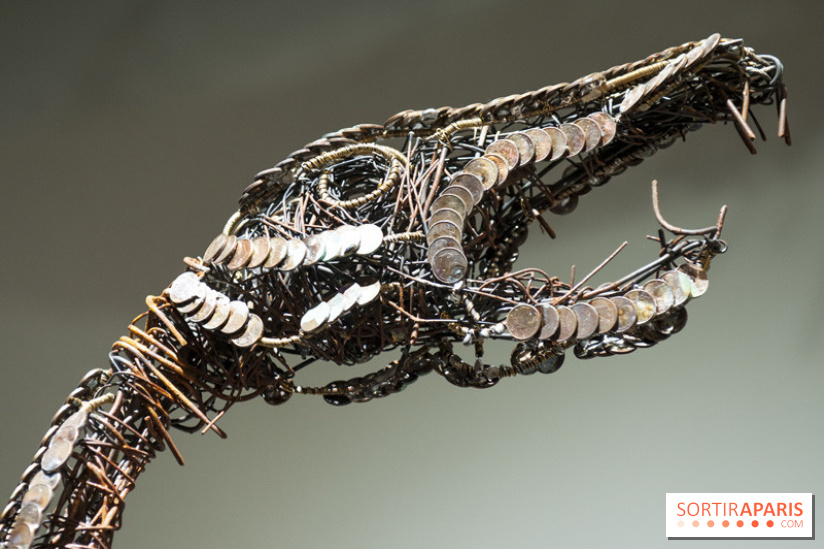 Aquarium de Paris : La Fabrique des profondeurs, l'exposition de Lionel Sabatté