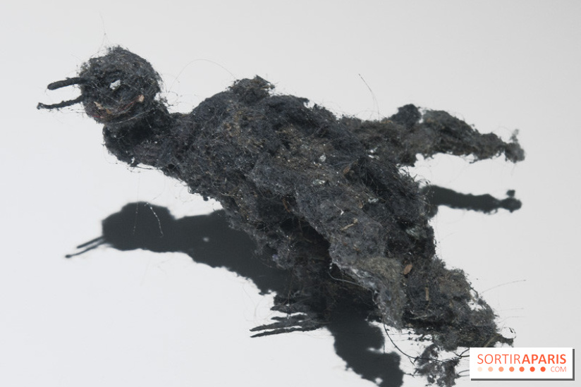 Aquarium de Paris : La Fabrique des profondeurs, l'exposition de Lionel Sabatté