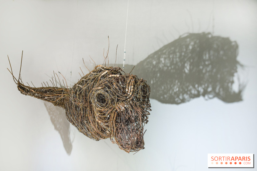 Aquarium de Paris : La Fabrique des profondeurs, l'exposition de Lionel Sabatté