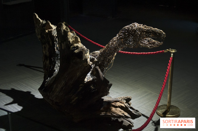 Aquarium de Paris : La Fabrique des profondeurs, l'exposition de Lionel Sabatté