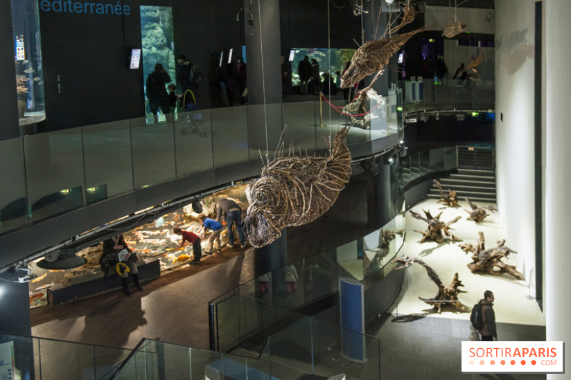 Aquarium de Paris : La Fabrique des profondeurs, l'exposition de Lionel Sabatté