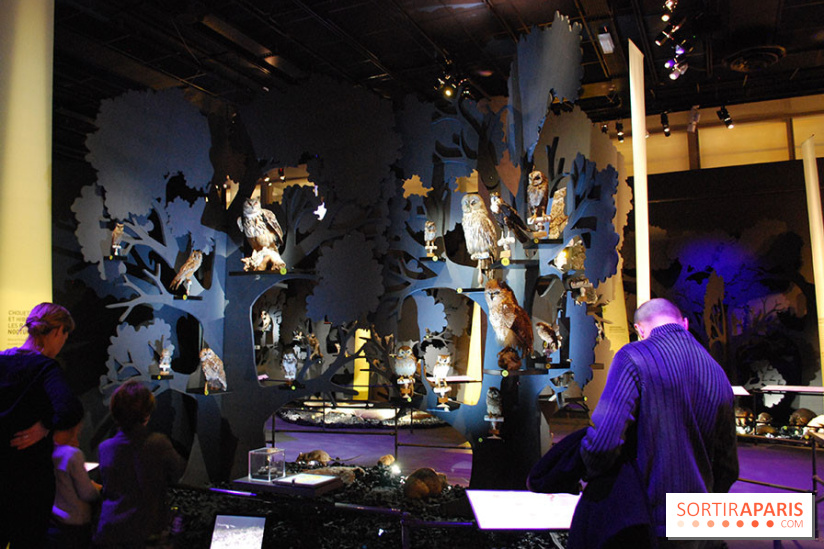 Exposition Nuit au Muséum Natinaol d'Histoire Naturelle