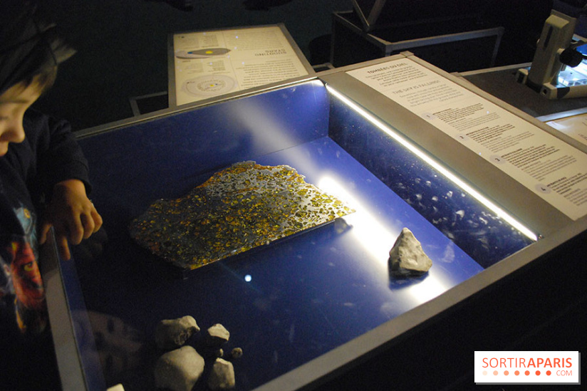 Exposition Nuit au Muséum Natinaol d'Histoire Naturelle