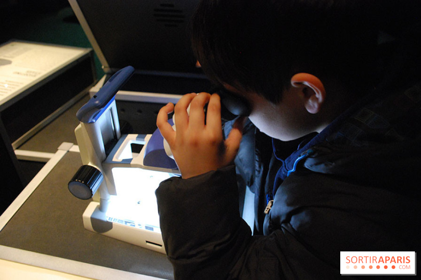 Exposition Nuit au Muséum Natinaol d'Histoire Naturelle