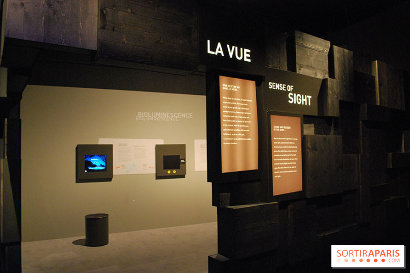 Exposition Nuit au Muséum Natinaol d'Histoire Naturelle