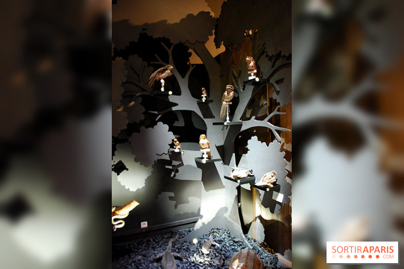 Exposition Nuit au Muséum Natinaol d'Histoire Naturelle