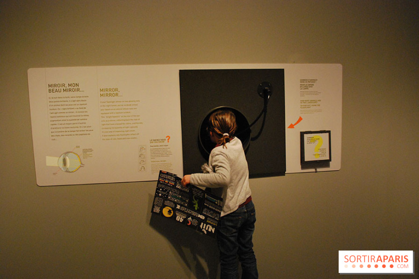 Exposition Nuit au Muséum Natinaol d'Histoire Naturelle