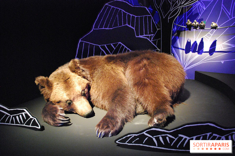 Exposition Nuit au Muséum Natinaol d'Histoire Naturelle