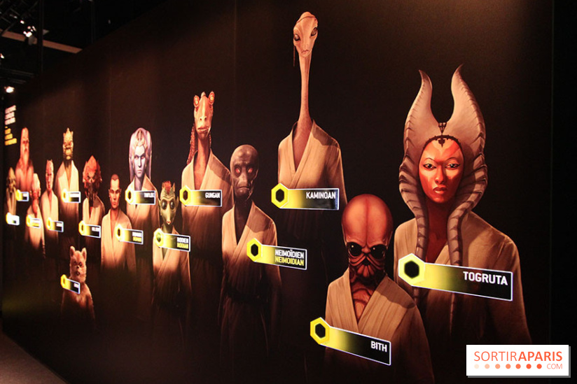 L'exposition Star Wars Identities à Paris