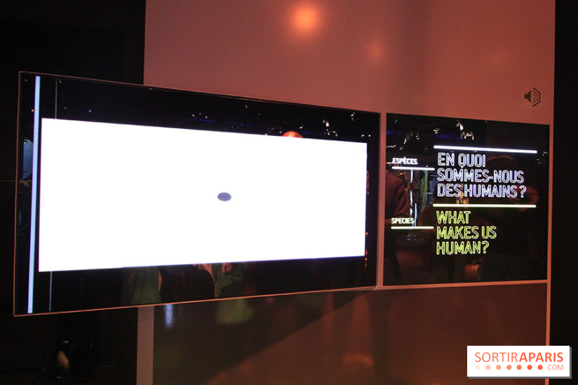 L'exposition Star Wars Identities à Paris