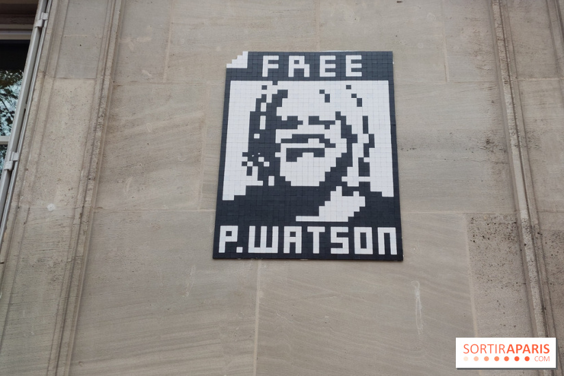 Paul Watson : Paris accorde la citoyenneté d'honneur au militant écologiste