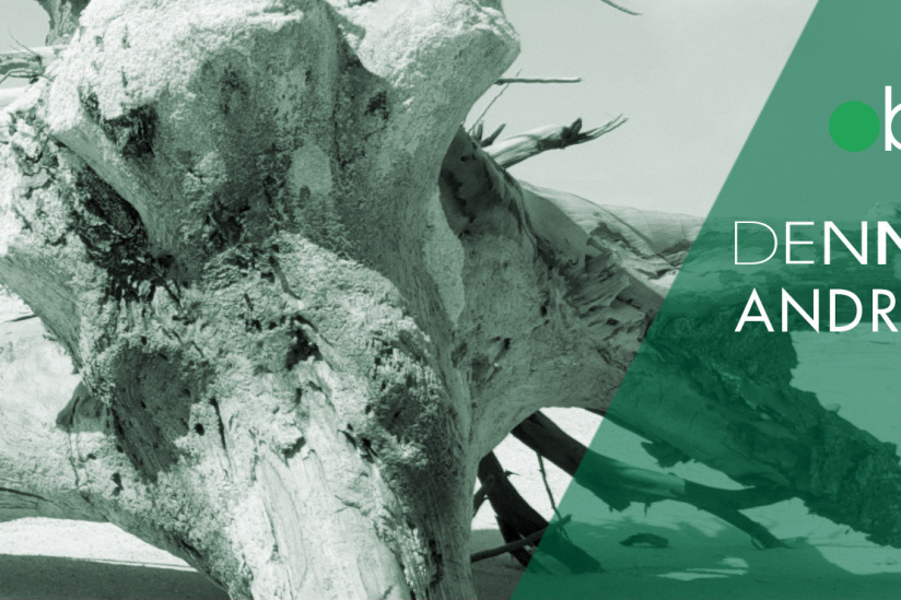 Dennis Ferrer au Zig Zag Club 