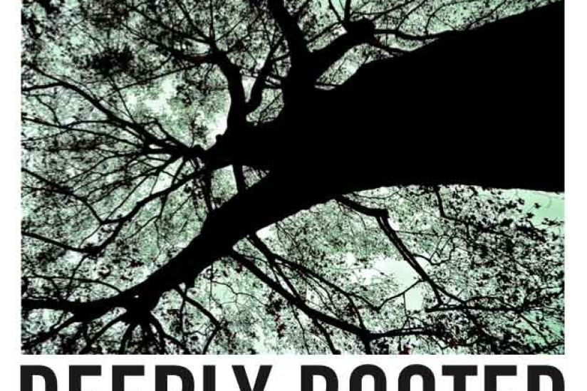 Deeply Rooted au Rex Club avec Miss Sunshine