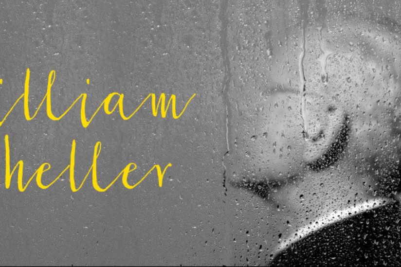 William Sheller en concert à la Salle Pleyel de Paris en décembre 2016