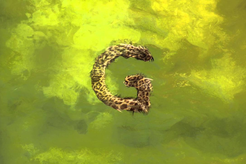 Garbage en concert à La Salle Pleyel de Paris en novembre 2016