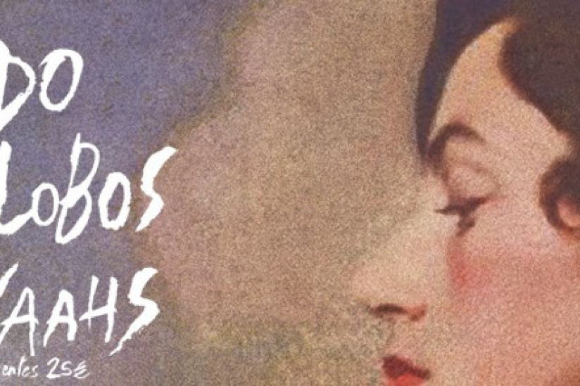 Katapult fête ses 20 ans à Paris