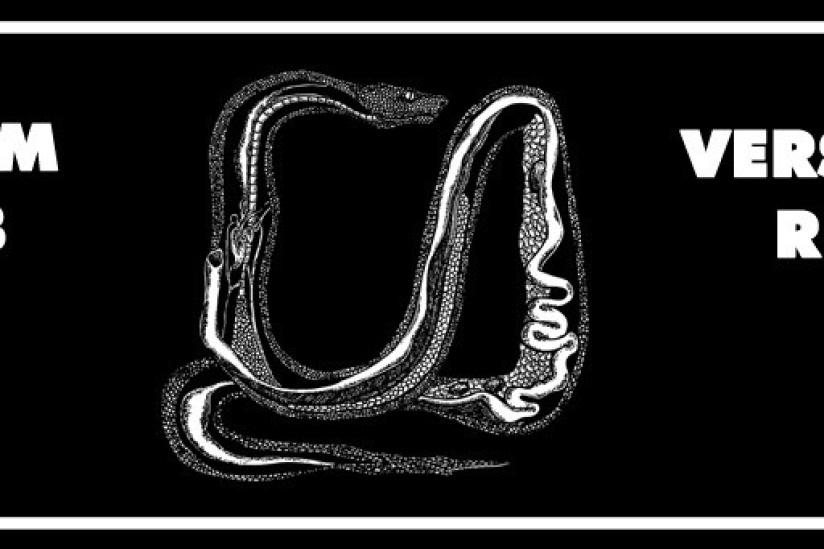 Tripalium Arena au Rex Club