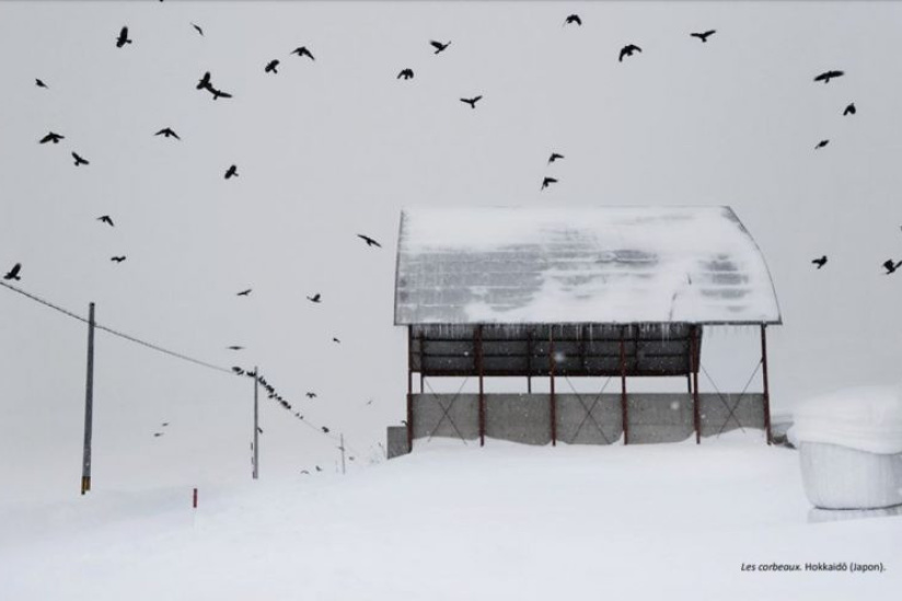 "En dessous de zéro" : expo photo de Christophe Jacrot à la Galerie de l'Europe