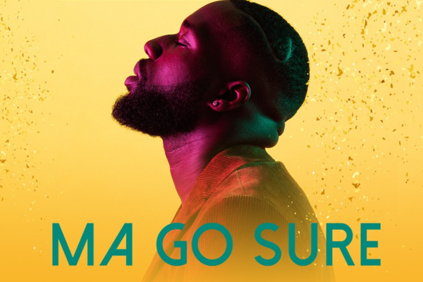 Vegedream en concert au Zénith de Paris en juin 2019