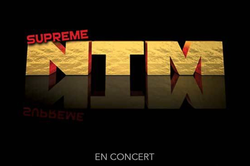 NTM en concert à l'AccorHotels Arena de Paris en novembre 2019