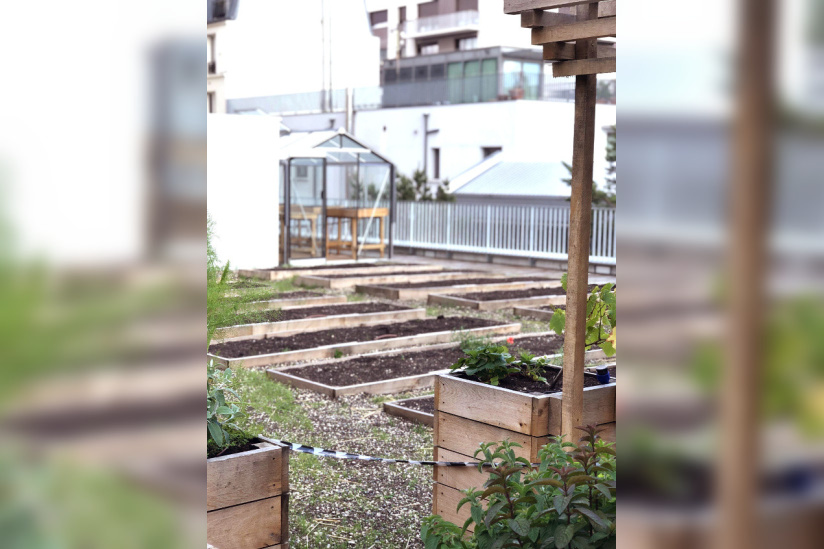 Laïa : nouvelle table ensoleillée à Paris attendue en janvier 2020