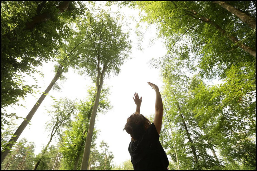 Le Festival des Forêts 2020 maintenu à Compiègne, le programme