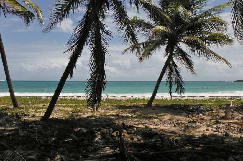 Covid : en Martinique, de nouvelles mesures annoncées face à l’explosion du nombre de cas