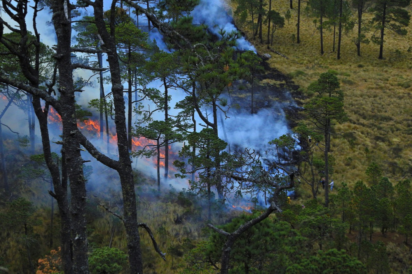 Changement climatique : Nicolas Hulot appelle à agir avec "radicalité