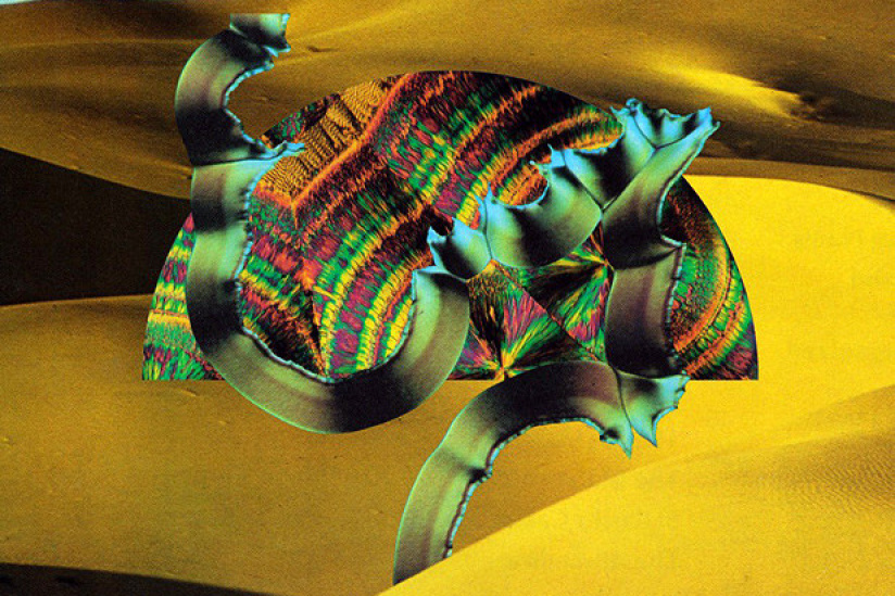 Django Django au Trianon cet hiver 