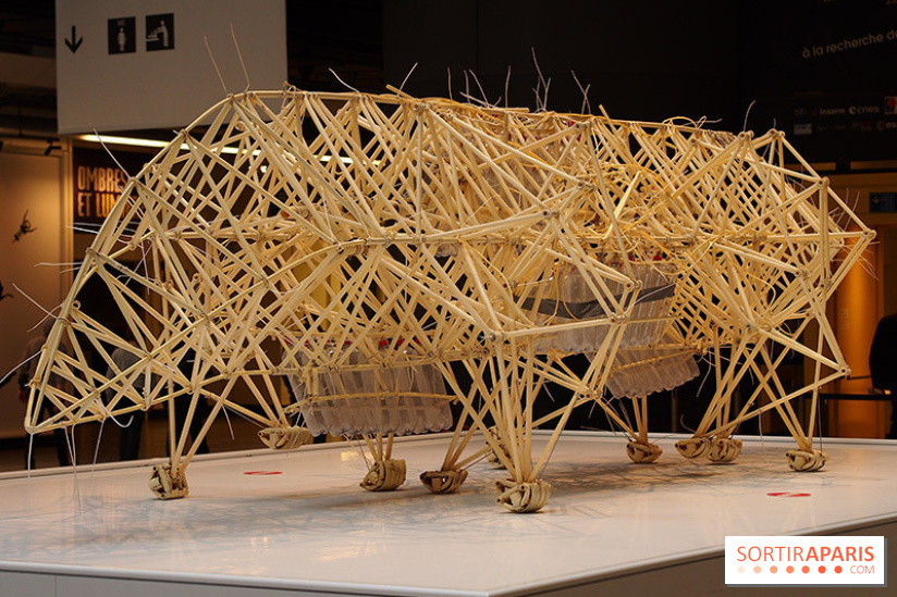 L'Art Robotique à la Cité des Sciences