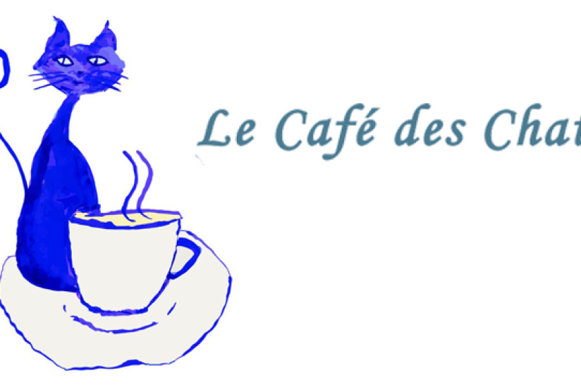 Cafe chat. Chat Cafe.