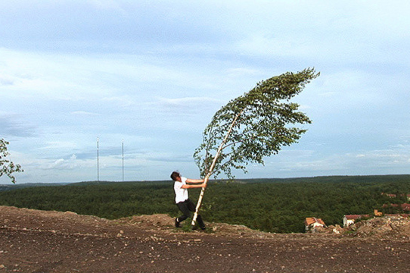 D'après nature à l'Institut Suédois 