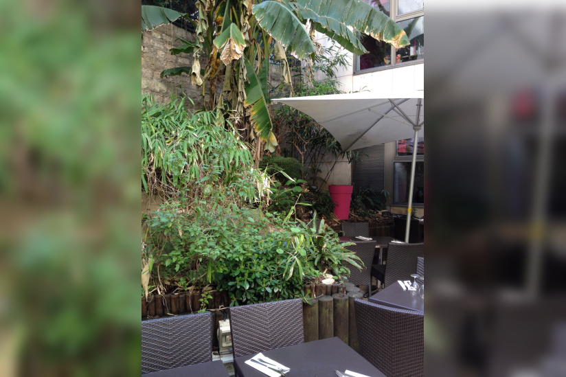 Le jardin de Noura Montparnasse : soleil et mezzés en folie !