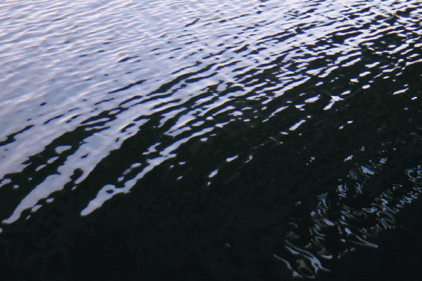 Céleste Boursier-Mougenot au Palais de Tokyo : l'expérience de l'été