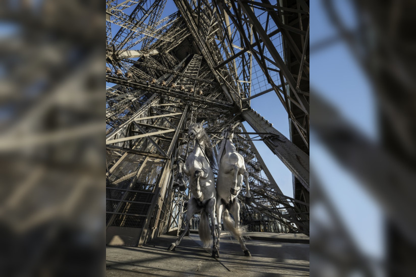 Paola Pivi à la galerie Perrotin